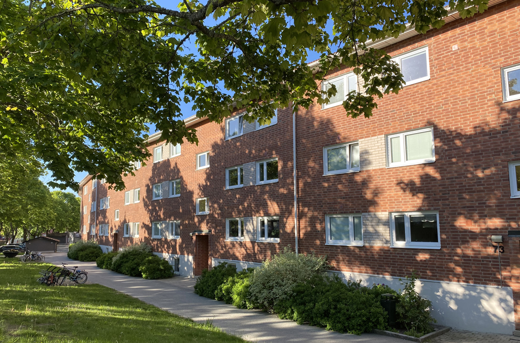 Gräsmatta, gångväg, cykelställ och buskar framför ett flerbostadshus i tegel