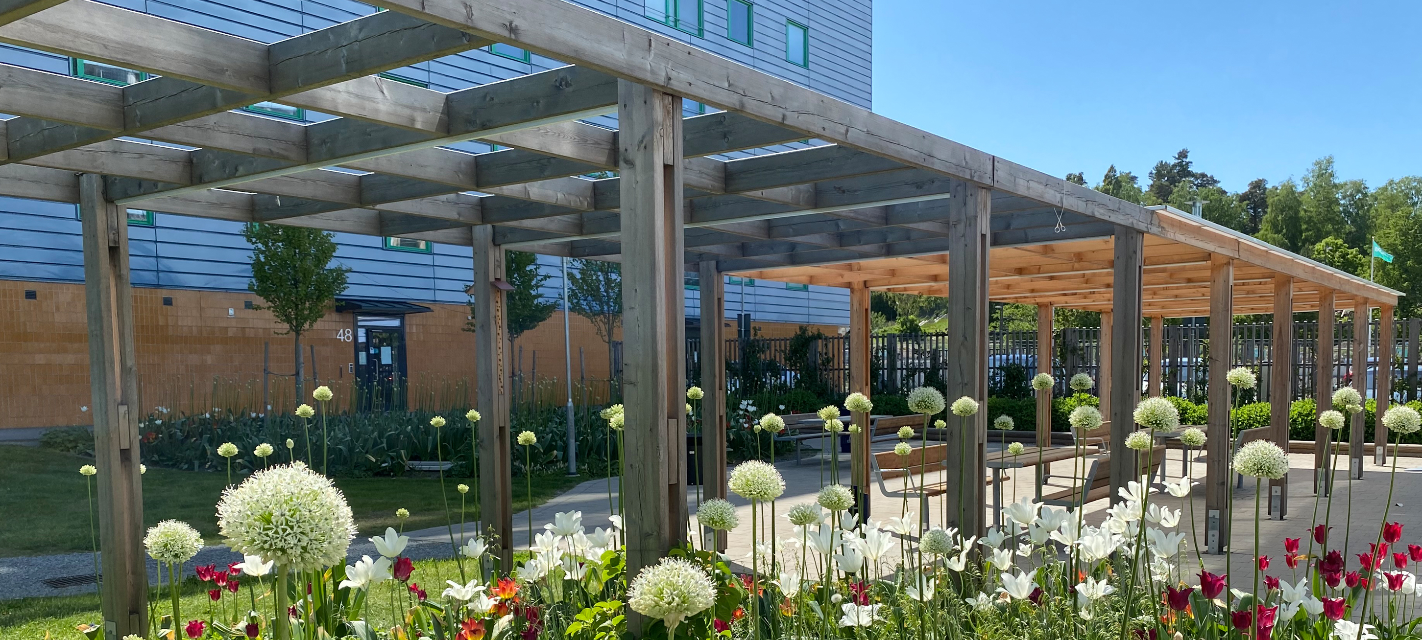 Pergola med blommor framför blått flerfamiljshus