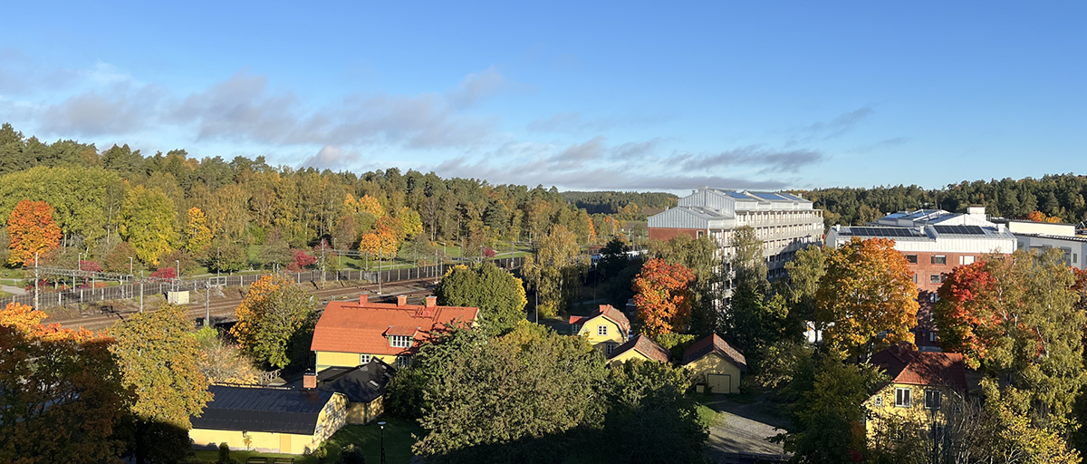 Vy över en park med gula hus, järnvägsspår i bakgrunden och träd i höstfärger.