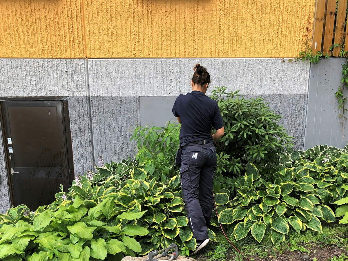 Tjej i mörkblå arbetskläder sköter om växtlighet intill en husgrund i grått, vitt och gult