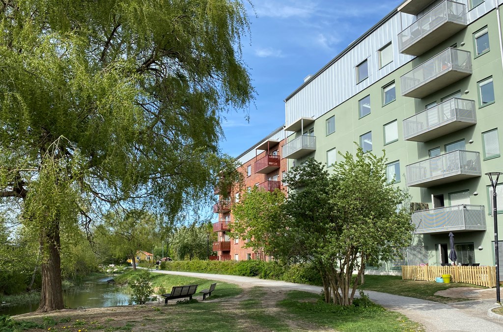 Grönskande träd och en bänk invid en å bredvid ett flerbostadshus med tegelröd och grön fasad